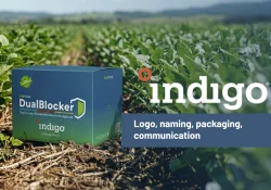 indigo-ptf